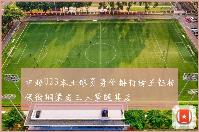 中超U23本土球员身价排行榜王钰栋领衔铜梁龙三人紧随其后