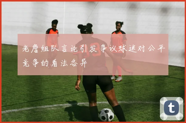 老詹组队言论引发争议球迷对公平竞争的看法各异